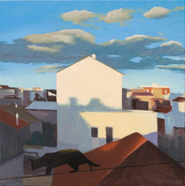 Black cat, white house, 2008. Oil on canvas. 75 x 75 cm.
