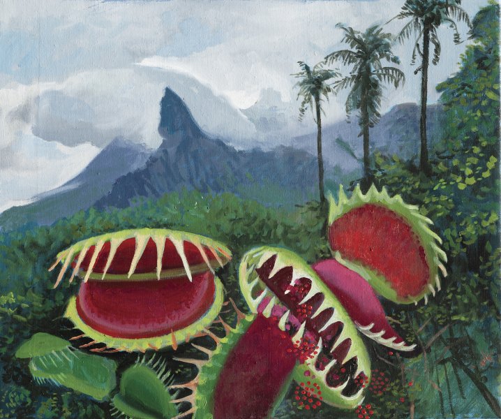 Las anomalias II, 2025. &Oacute;leo sobre lienzo. 46 x 55 cm.